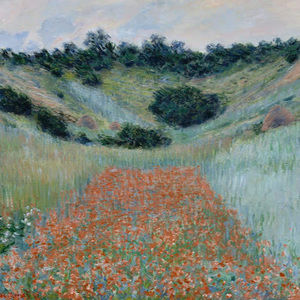 Meet your Posher, Lilly